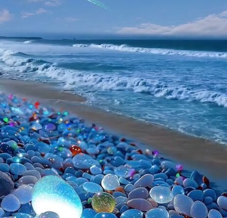 Glass From the Sea