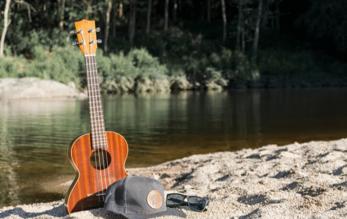 Ukulele History