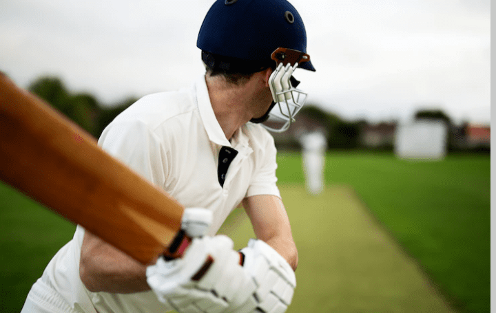 Cricket Ball and