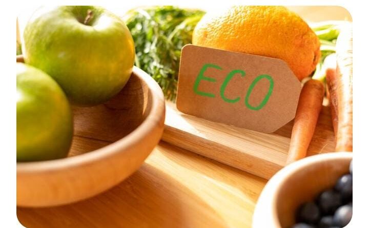 Eco-Friendly Products