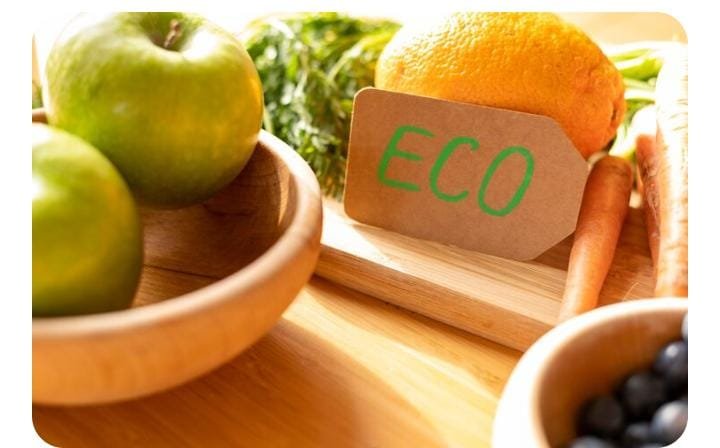 Eco-Friendly Products: The Smart Way to Save the Planet and Live Sustainably