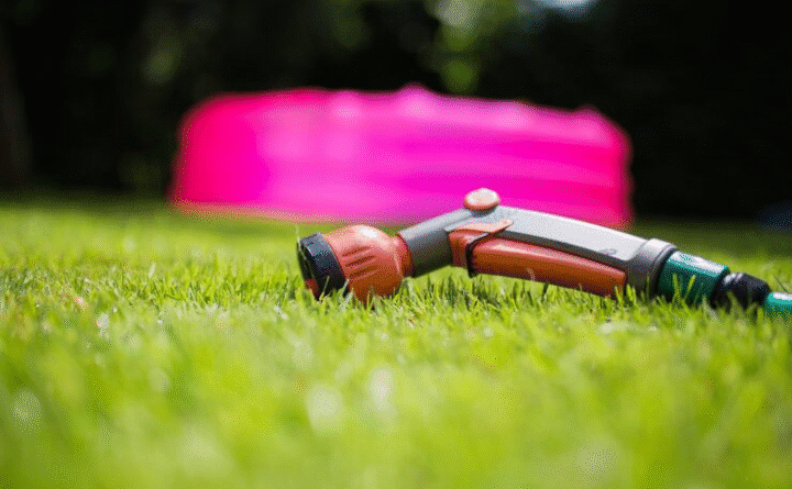 Lawn