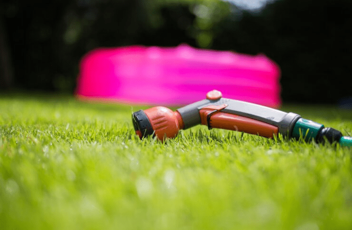 Lawn