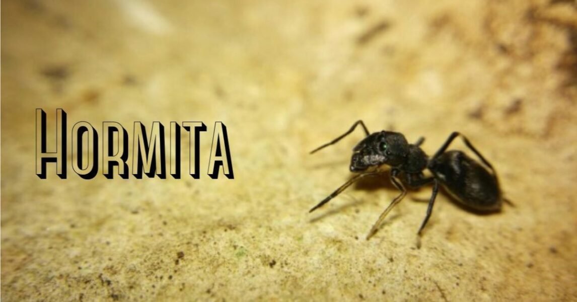 Hormita