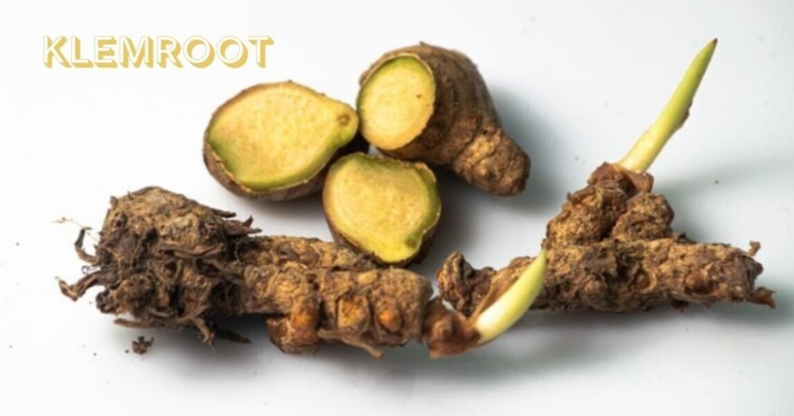Klemroot