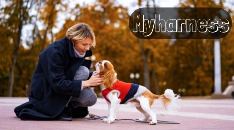 Myharness