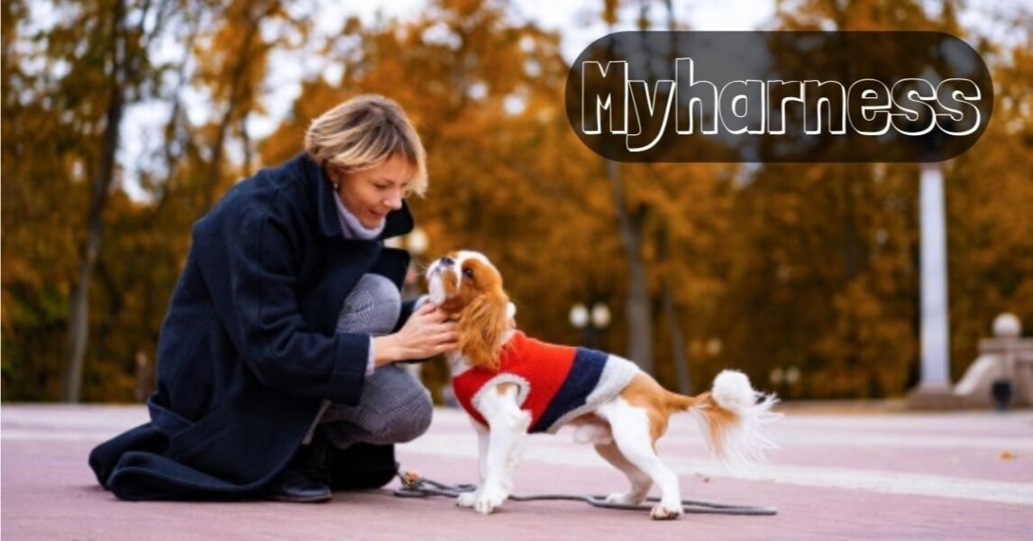 Myharness