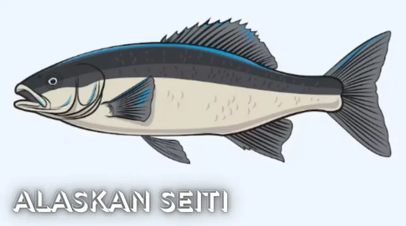 Alaskan Seiti