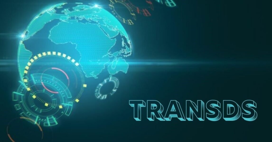 Transds: Understanding the Platform and Risks