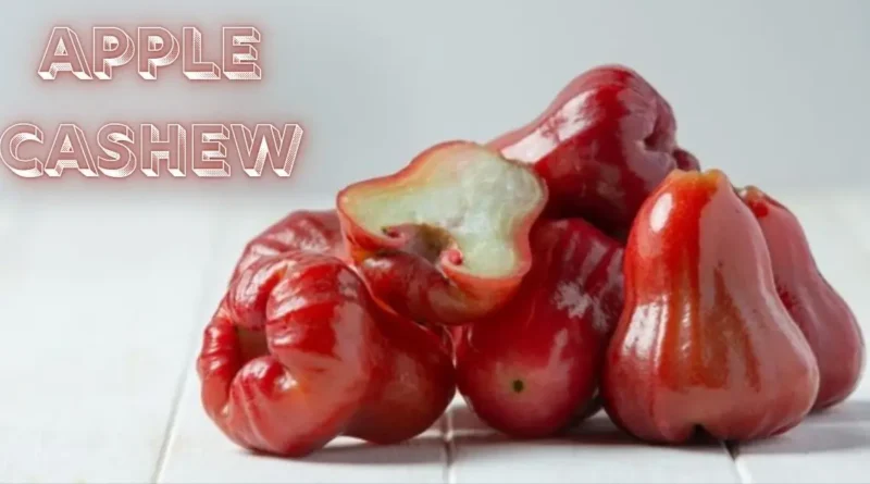 Apple Cashew Delight