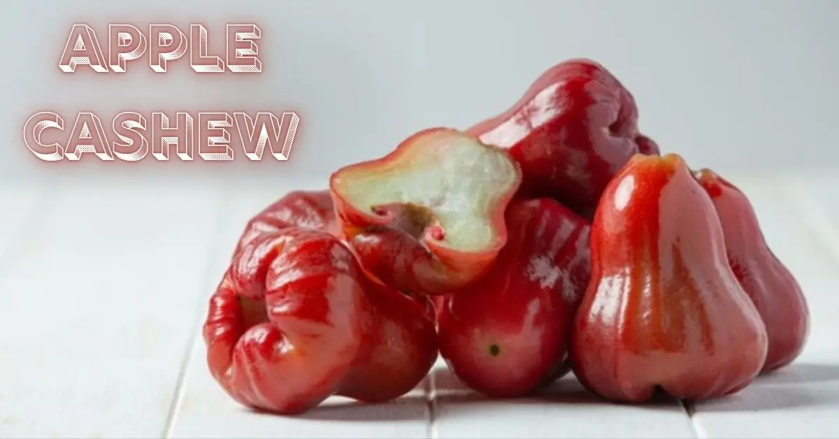 Apple Cashew Delight