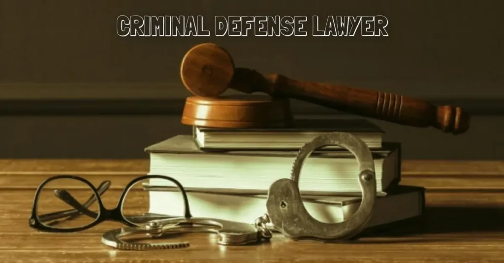 Criminal Defense Lawyer