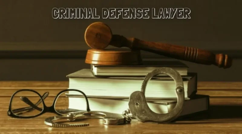 Criminal Defense Lawyer
