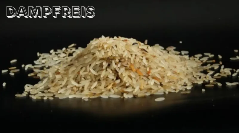Dampfreis