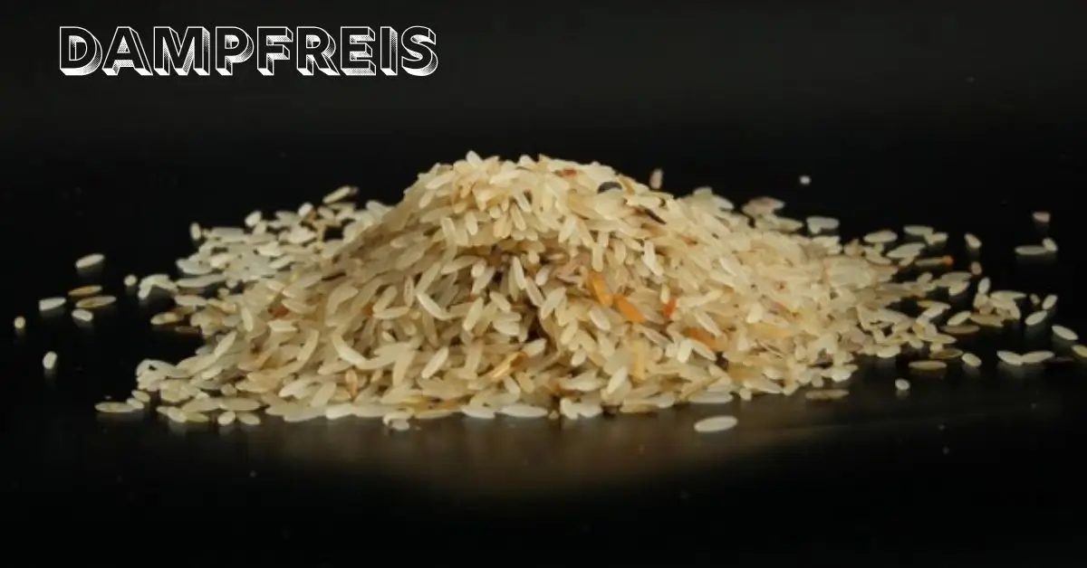 Dampfreis