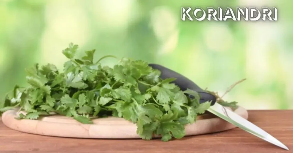 Koriandri