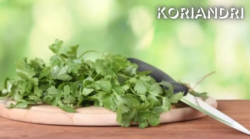Koriandri